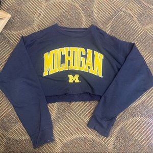 vintage cropped michigan sweatshirt